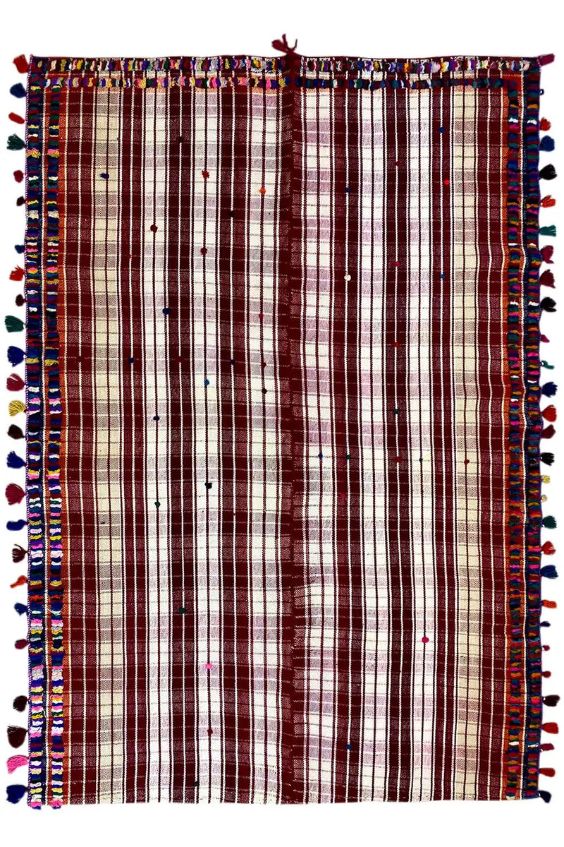 Jajim (244x164cm) - German Carpet Shop