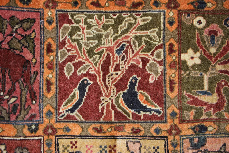 Bakhtiari - 8968586 (277x210cm) - German Carpet Shop